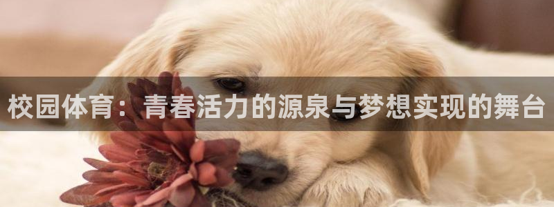 vsport体育官网下载招商电话号码查询是多少:校园体育:青