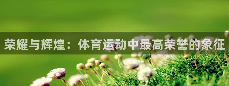 vsport体育官网下载招商电话地址是多少:荣耀与辉煌:体育