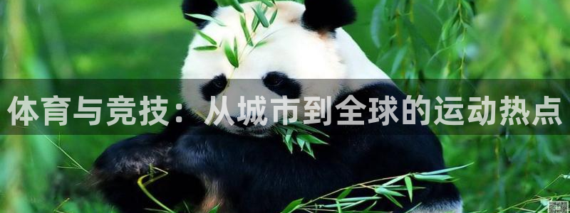 vsport体育官网下载招商电话是多少啊:体育与竞技:从城市