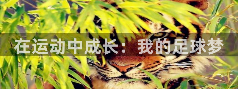 vsport体育官网下载招商电话是多少号码:在运动中成长:我